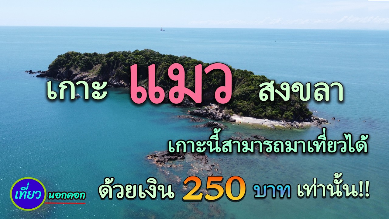 เกาะหนู และเกาะแมว
