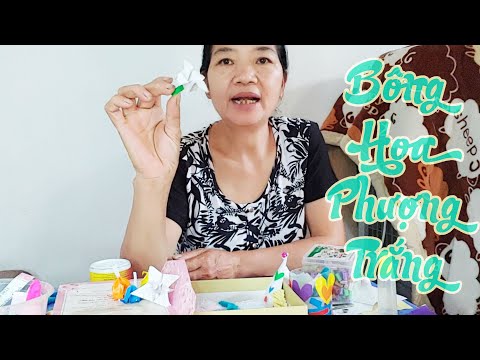 Hướng dẫn cách làm bông hoa phượng màu trắng