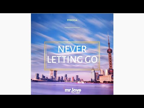 Vocca - Never Letting Go (Audio)