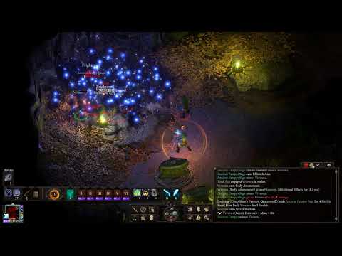 Pillars of Eternity II: Seer (Ascendant/Ghost Heart) - Solo POTD Build | Fampyr Crypt