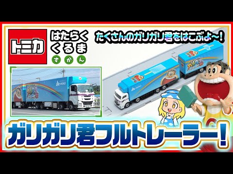 【トミカ はたらくくるま ずかん】『ガリガリ君フルトレーラー』をじっさいに見に行こう！【タカラトミーキッズ】| タカラトミー公式 | 自動車 | おもちゃ