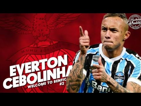 skills do Everton cebola(HD)