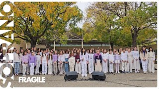 FRAGILE de Soprano - Chorale collège Th  Monod de Clarensac - Journée contre le harcèlement
