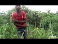 Best Naso Mapenzi Vidéo Officiel Mp 4