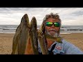 How to Catch BIG Whiting off ANY BEACH - Baits, Rigg and Location (ft Whiting and Bream)