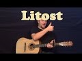 Litost (X Ambassadors) Guitar Lesson Easy Strum ...