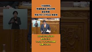 【国会中継】「代表質問」参議院議員 神谷宗幣 国会質疑 令和7年11月6日 参政党 3/12