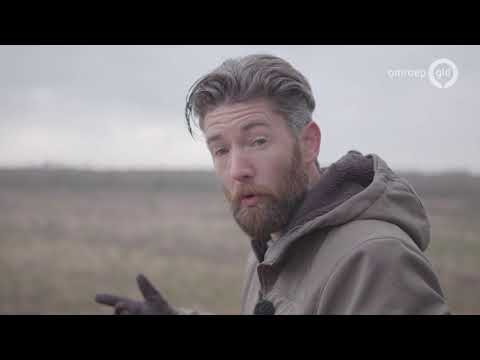 Deze prachtige kraanvogels leven in de Achterhoek, maar hebben het lastig - Buitengewoon
