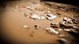 Cocteau Twins - Beatrix