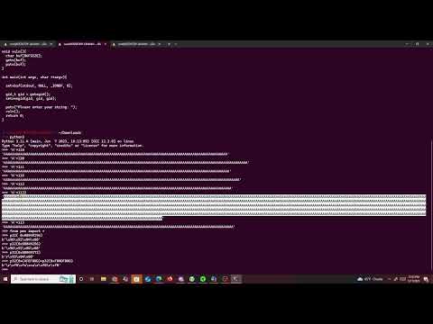PicoCTF buffer overflow 2