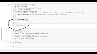 How to Upload /import  csv file in Jupyter using ipywidgets