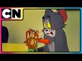 Tom And Jerry Zero Peace Pure Laughter Best Animations Cnindia