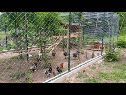 PENSIUNEA "CASA NOASTRA" DIN BAIA DE FIER JUD. GORJ PREZENTARE 2017