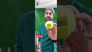 Recommended best quality soft tennis cricket bats | light tennis bats | kashmir willow tennis bats