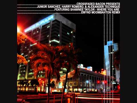 Junior Sanchez, Harry Romero, & Alexander Technique "Where You Are (Emynd Moombahton Remix)"