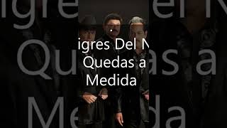 Me quedas a la medida tigres