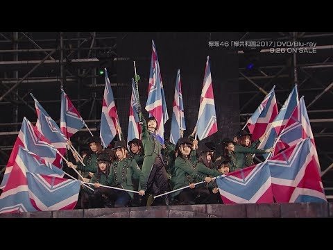 欅共和国2017