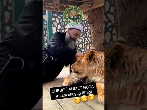 ASLANI OKUYUP ÜFLEYEN    HOCAYA CÜBBELİ AHMET HOCA DERLER