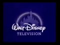 Walt Disney Television Logo Reversed