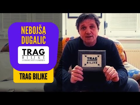 NEBOJŠA DUGALIĆ Talks about Trag Biljke