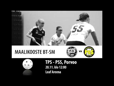 Maalikooste BTSM TPS - PSS 20.11.2016