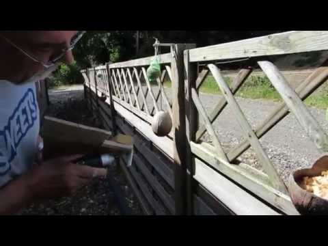 CLEAN SKATEPARK (6.25.14 - Day 1331)