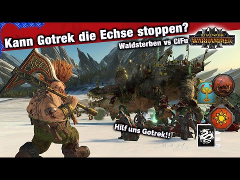 GOTREKS Kampf - Orks vs Gruftkönige, Echsenmensche vs Cathay - Warhammer 3 Multiplayer