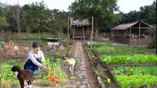 Full Video: 80 days of gardening, planting, harvesting, cooking and taking care of pets