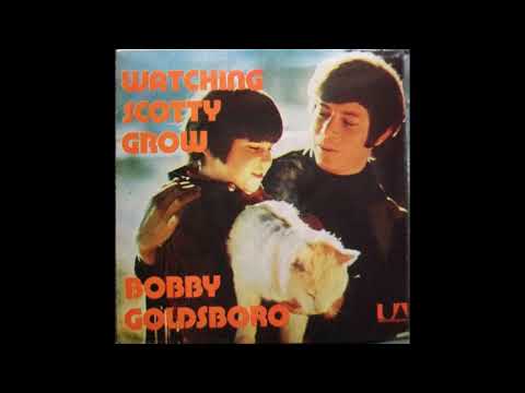 Watching Scotty Grow - Bobby Goldsboro