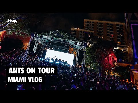 ANTS on Tour | Miami Vlog 2023