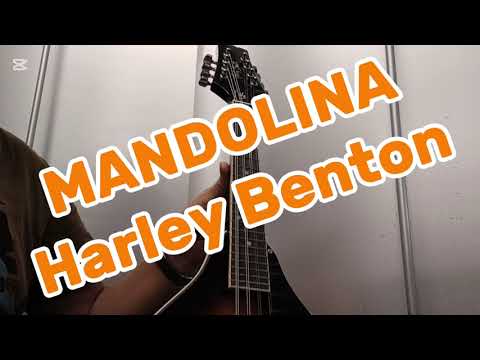 MANDOLINA - Harley Benton, dobry budżetowy instrument do nauki gry, cz.4 :)