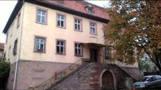 preview picture of video 'Barockschloss mit Nebengebäude in Wartmannsroth'