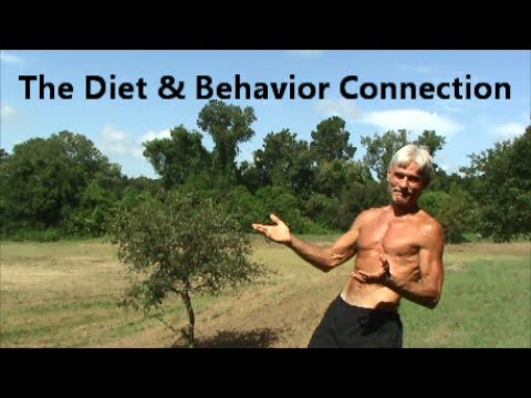 The Diet & Behavior Connection