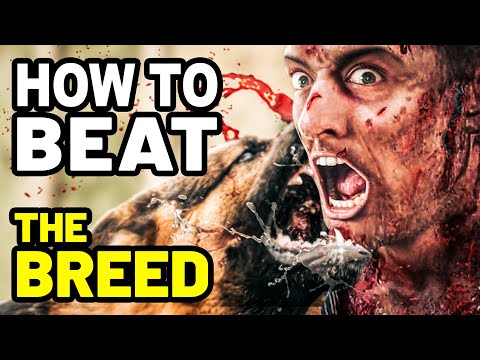 How to Beat the BLOODTHIRSTY DOGS in THE BREED