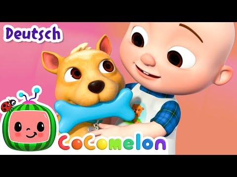 B-I-N-G-O war sein Name | CoComelon Deutsch | Cartoons und Kinderlieder