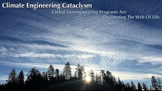 Climate Engineering Cataclysm: A Live Presentation By Dane Wigington ( GeoengineeringWatch.org )