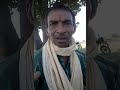 The Jimi Kanda Song Chhattisgarhiya Sable Badhiya