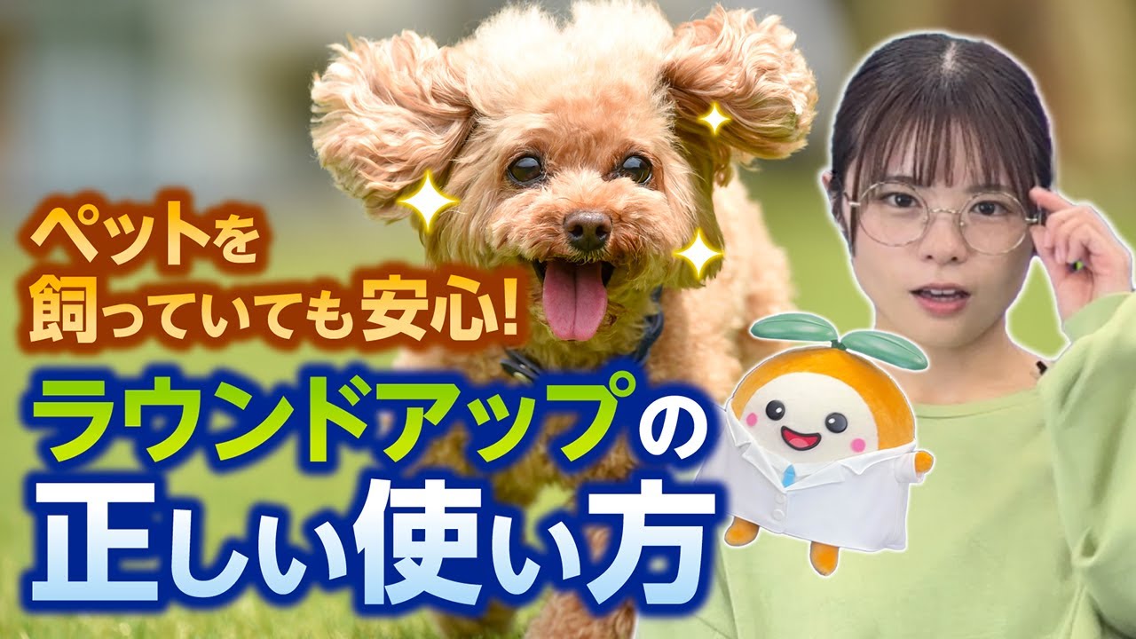 おうち周りの雑草に除草剤を使ってみたいけど、飼っているペットへの安全性って大丈夫？？その疑問をふたばが博士に思い切って相談してみました✨ふたばの雑草相談室です♪