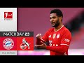 Gnabry & Lewandowski score twice | FC Bayern München - 1. FC Köln | 5-1 | All Goals | MD 23