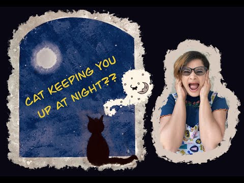 Cat Keeping You Up At Night? Here's How To Stop That!
