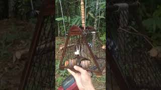 Download lagu Denak Lekir, anak penerima suap mp3 Download lagu Denak Lekir, anak penerima suap mp3