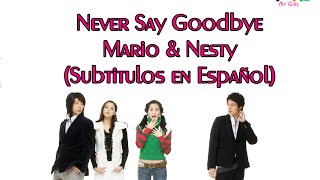 Never Say GoodBye - Mario y Nesty (Sub. en español)
