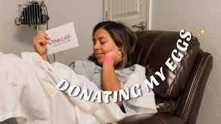 Was Donating My Eggs Worth It? My Egg Donation Experience