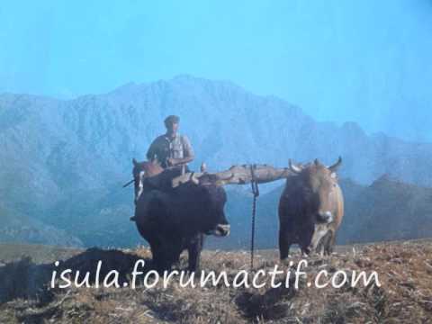 Tribbiera, Carlu Rocchi