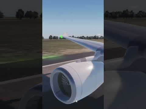 A330-300 To/Ga take off Punta Cana | Project Flight Roblox  #robloxairline #planes #aviation
