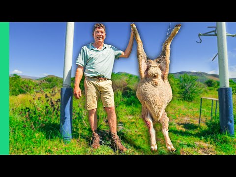 White African Food!! South Africa’s Afrikaner Influence!!