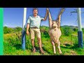 White African Food South Africa S Afrikaner Influence