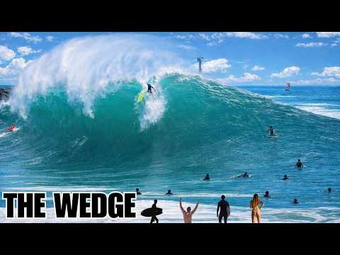 The Wedge  – 24/7 Insane Surf Chaos Stream 🌊 | Raw Footage | Live