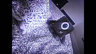 Plushy compilation intro