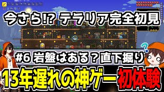 【ガチ初見】岩盤はあるのか？ひたすら直下掘りするぞ！ #6 【Twitch同時配信】